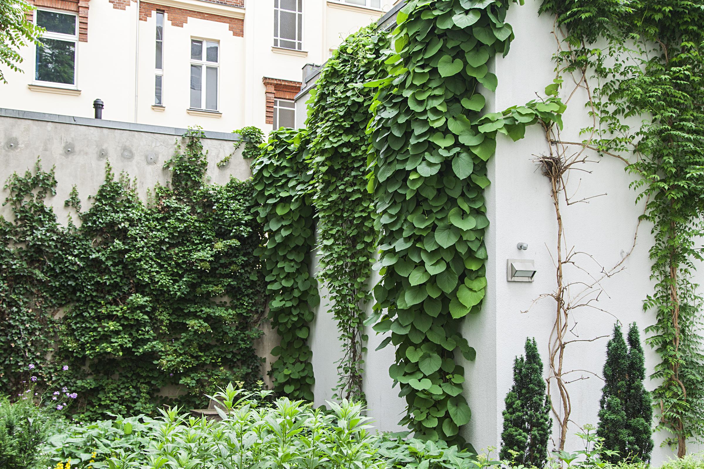 Quentin Design Hotel Berlin Eksteriør billede